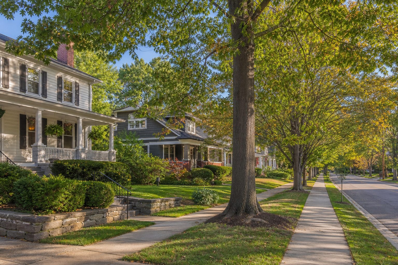 Concept image of a tree-lined Arlington Virginia residential street with colonial-style homes